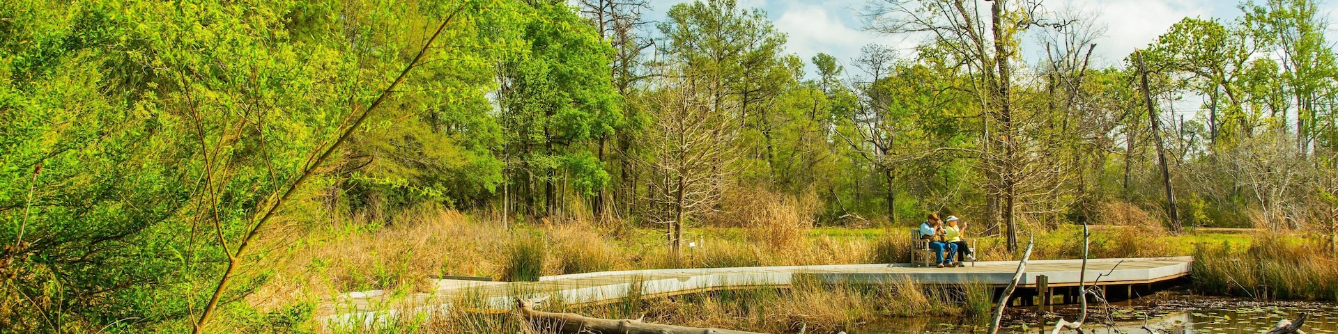 Houston Arboretum and Nature Center