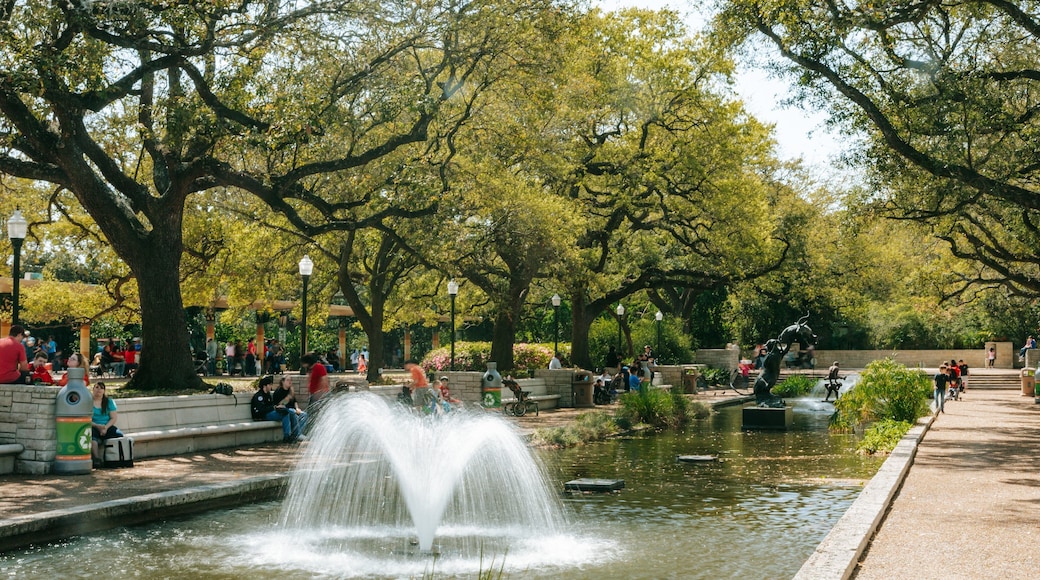 Houston Zoo which includes a pond, a fountain and a park