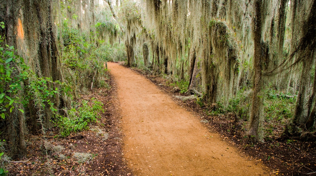 Santa Ana National Wildlife Refuge