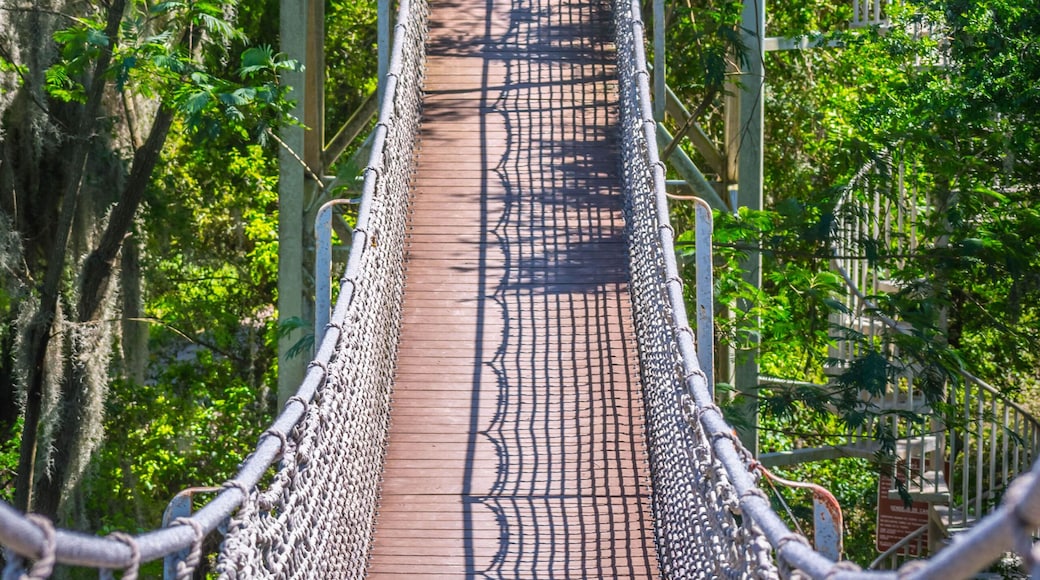 Santa Ana National Wildlife Refuge