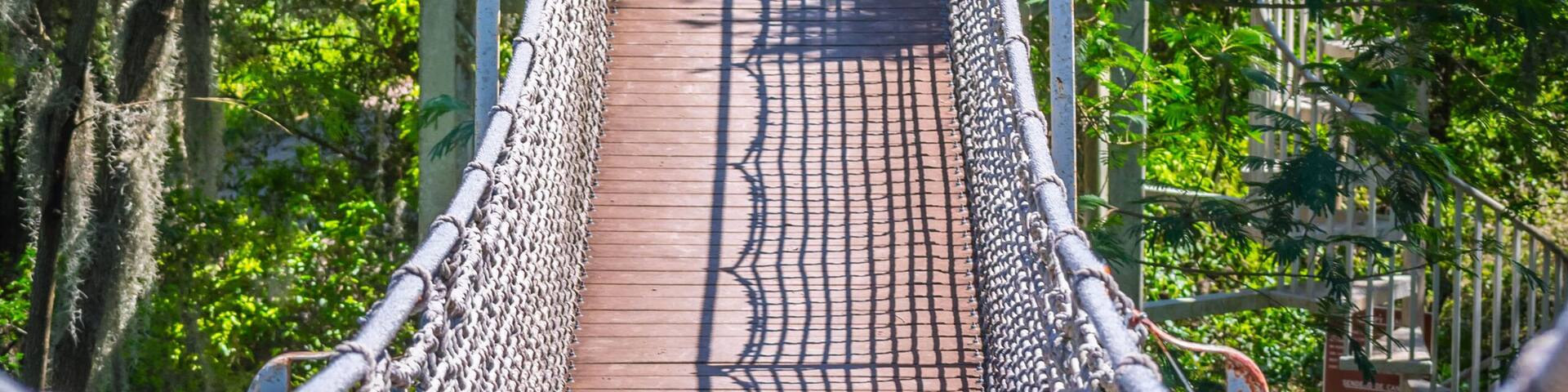 A long canopy walk in Santa Ana NWR, Texas