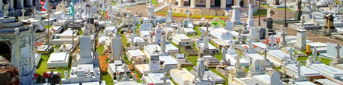 A cemetery with numerous tombstones, a prominent building with a red dome, and a fort in the background.