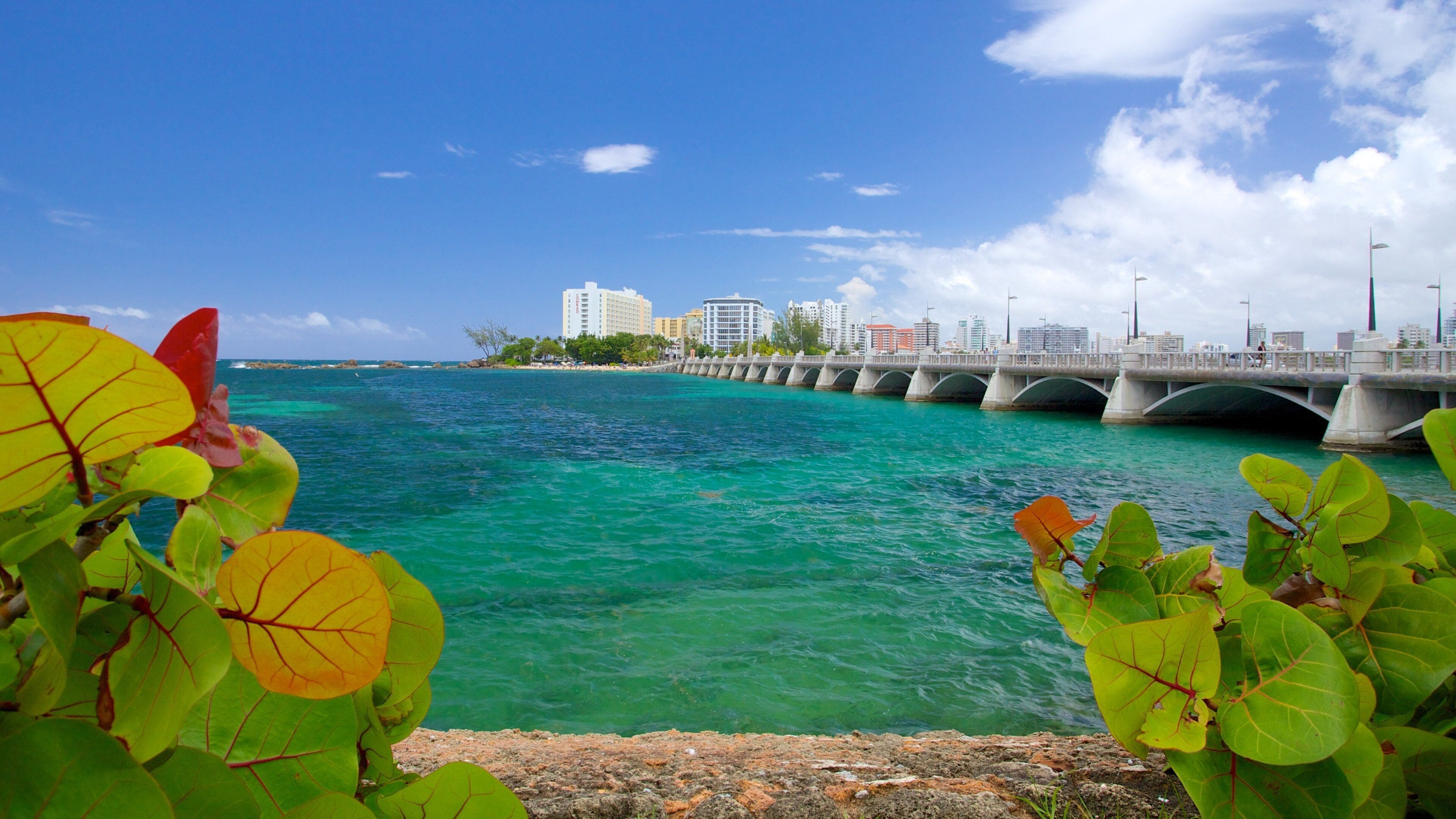Condado Beach showing a bridge and general coastal views