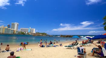 Condado海灘 其中包括 海灘 以及 大群人