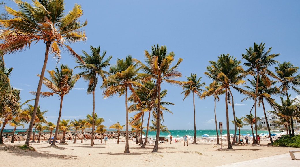 Condado Beach which includes tropical scenes, a sandy beach and general coastal views