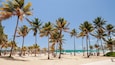 A beach with palm trees and a clear blue sky.