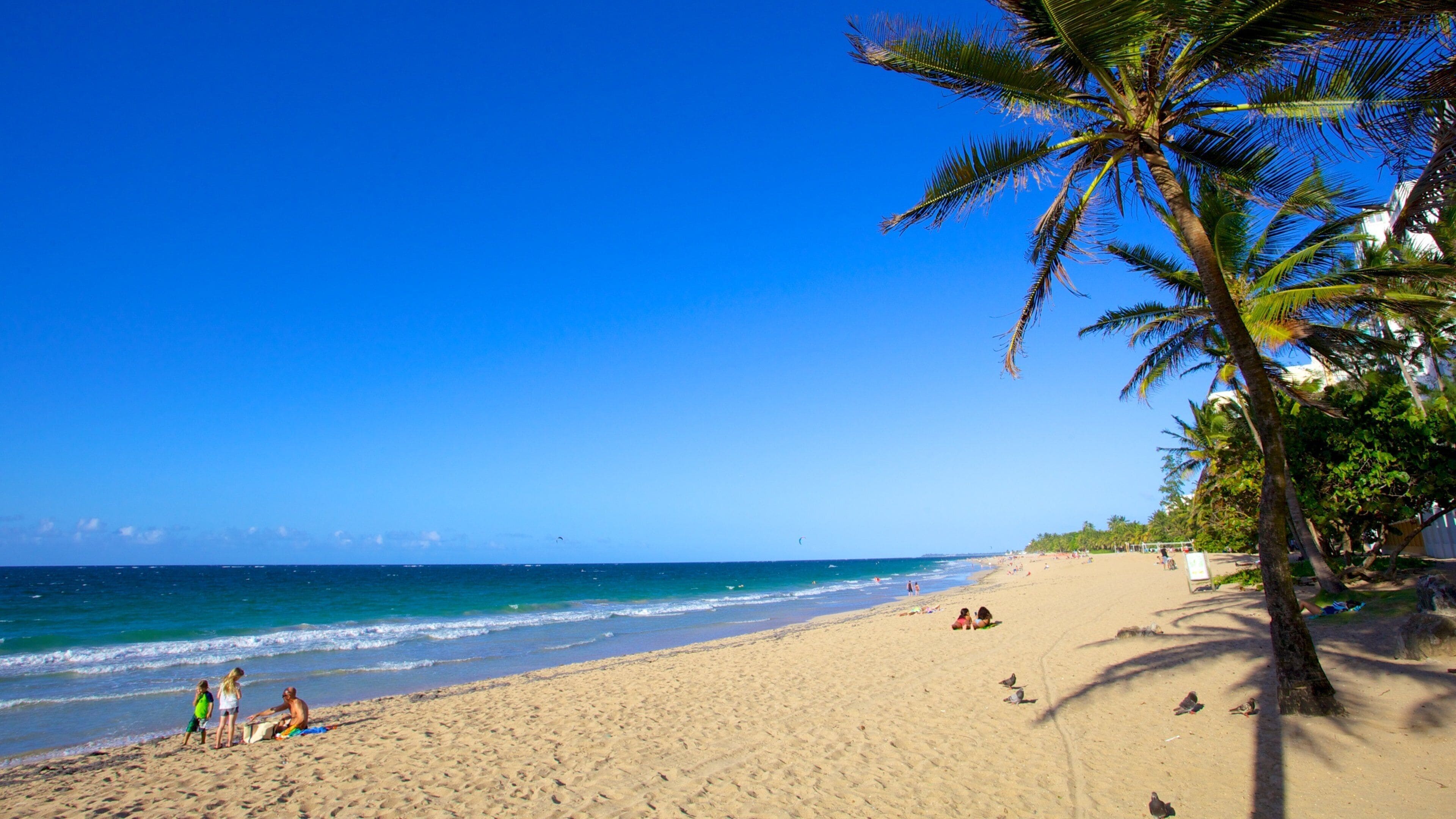 San Juan which includes a sandy beach and tropical scenes