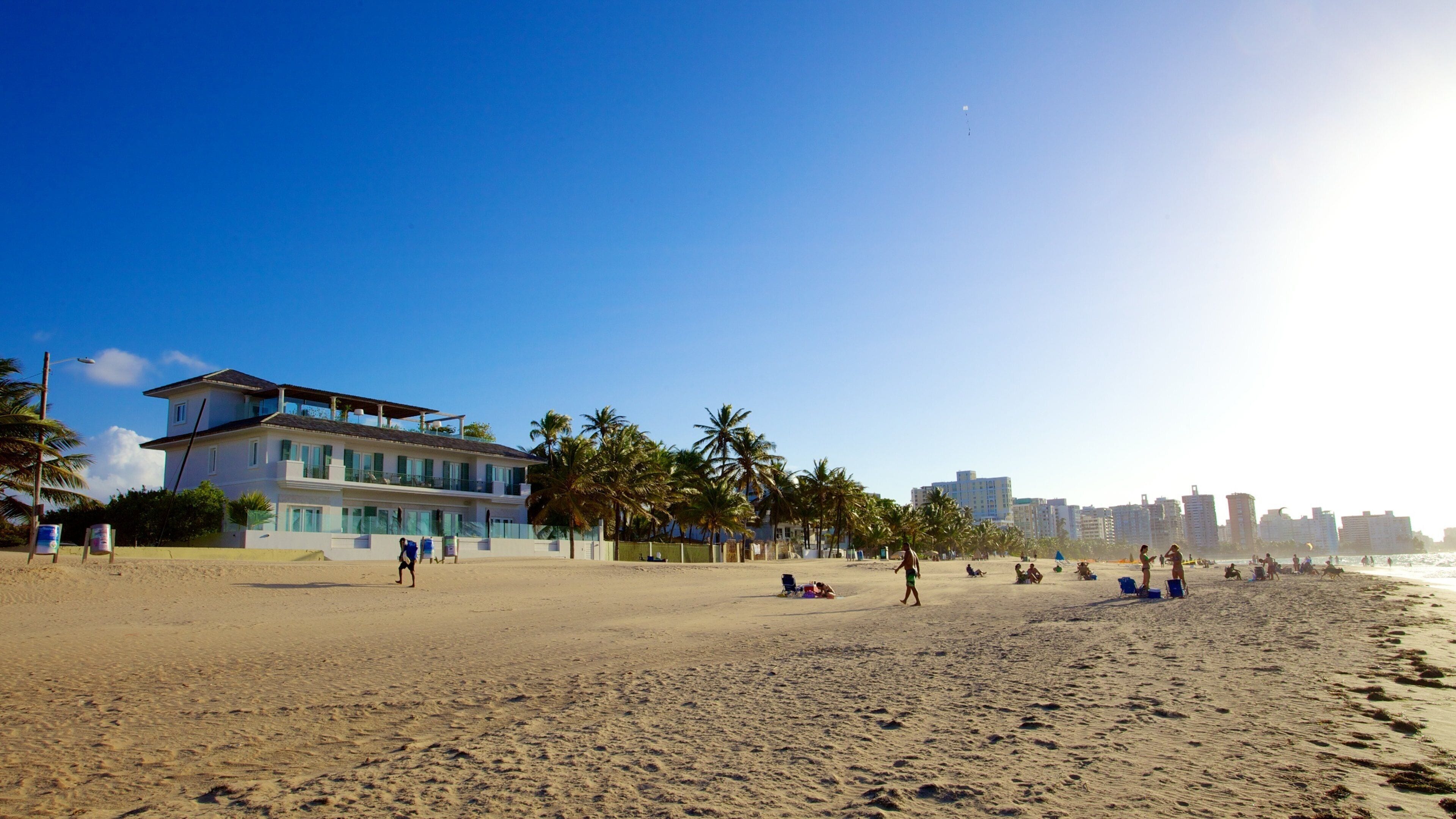 A beach with a large building, palm trees, and a city skyline in the background.