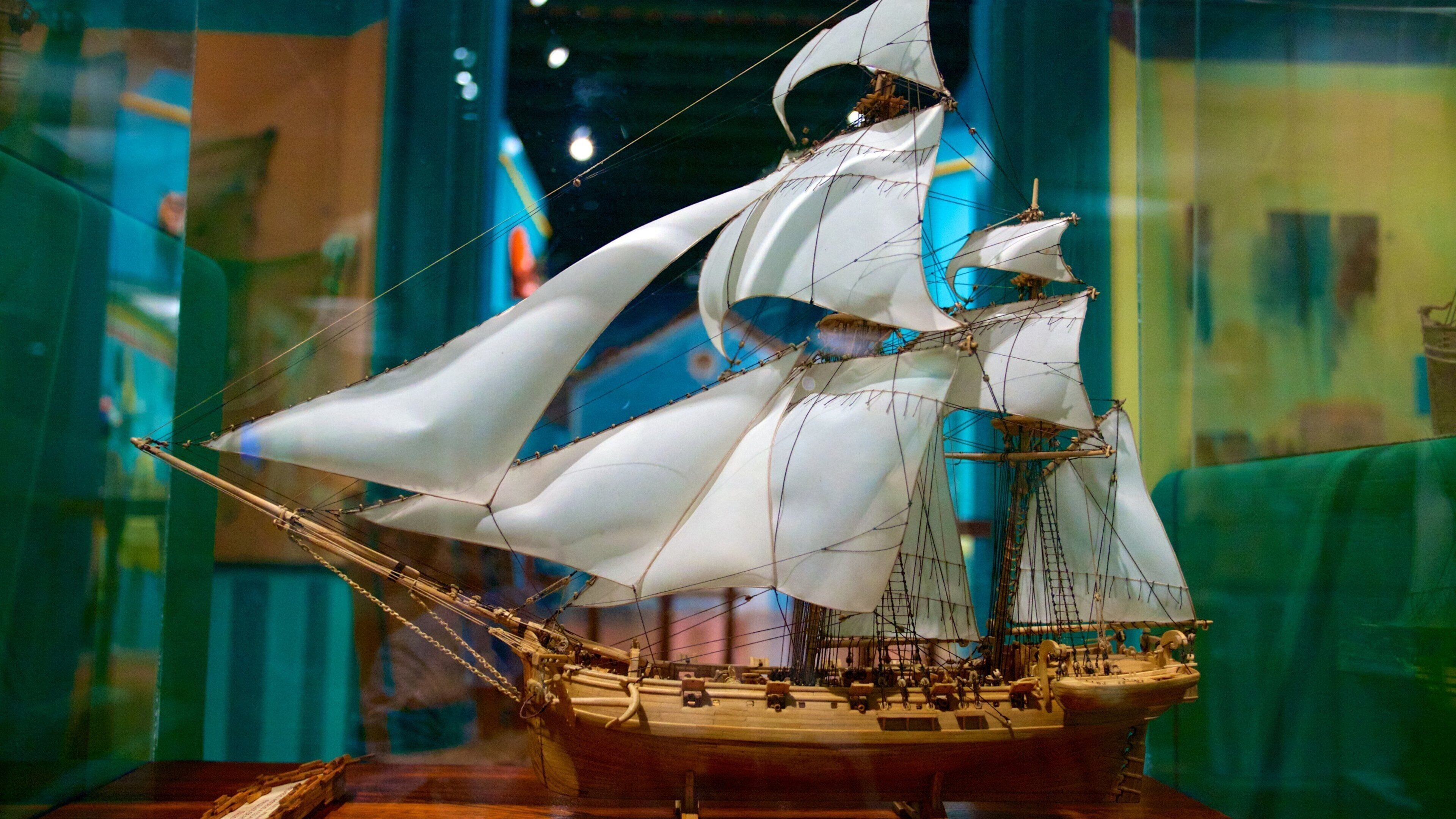 美洲博物館 其中包括 內部景觀