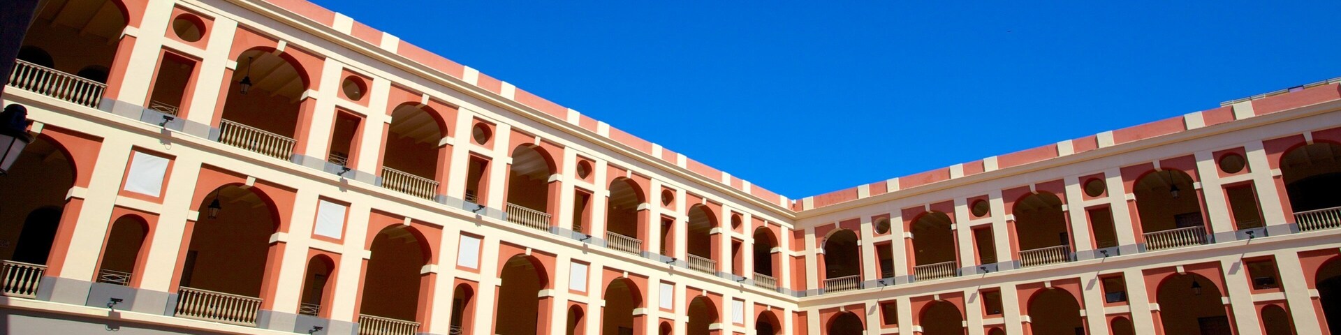 Museum of the Americas