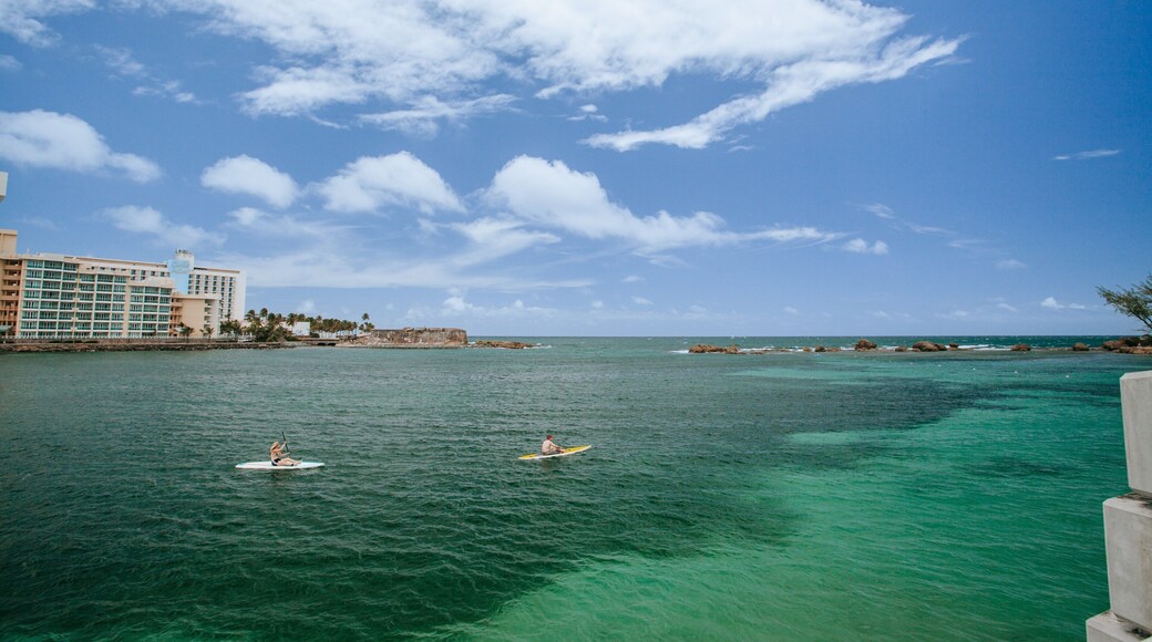 Fort San Jeronimo featuring general coastal views and kayaking or canoeing as well as a couple