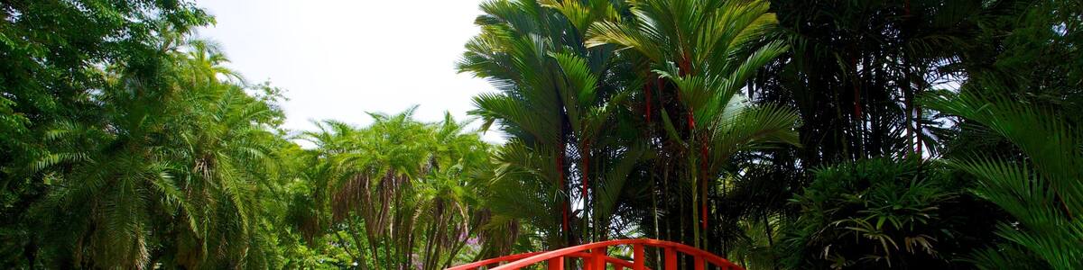 Jardín botánico qui includes scènes tropicales, parc et pont