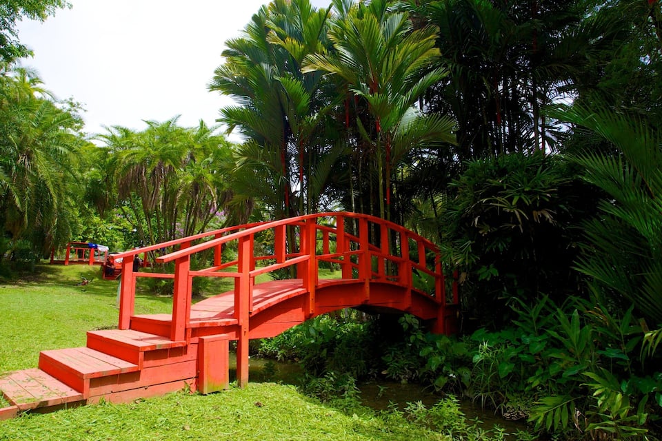A red wooden bridge in a lush green park with palm trees.