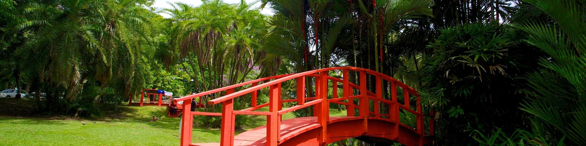 Jardin Botanico caracterizando cenas tropicais, uma ponte e um jardim