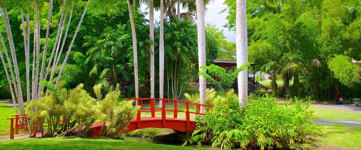 Jardin Botanico showing tropical scenes, a garden and a bridge