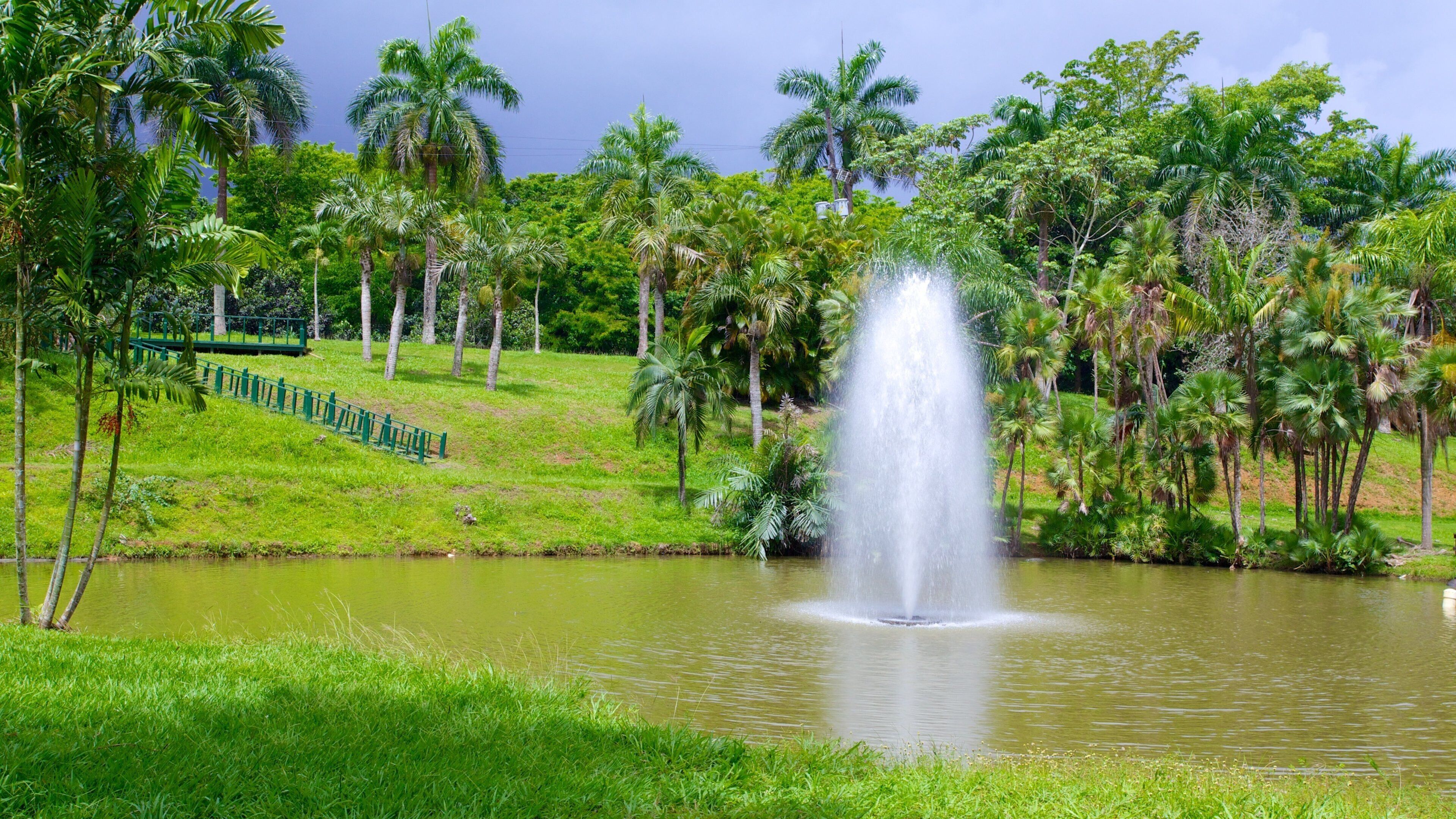 Jardín botánico qui includes mare, fontaine et jardin