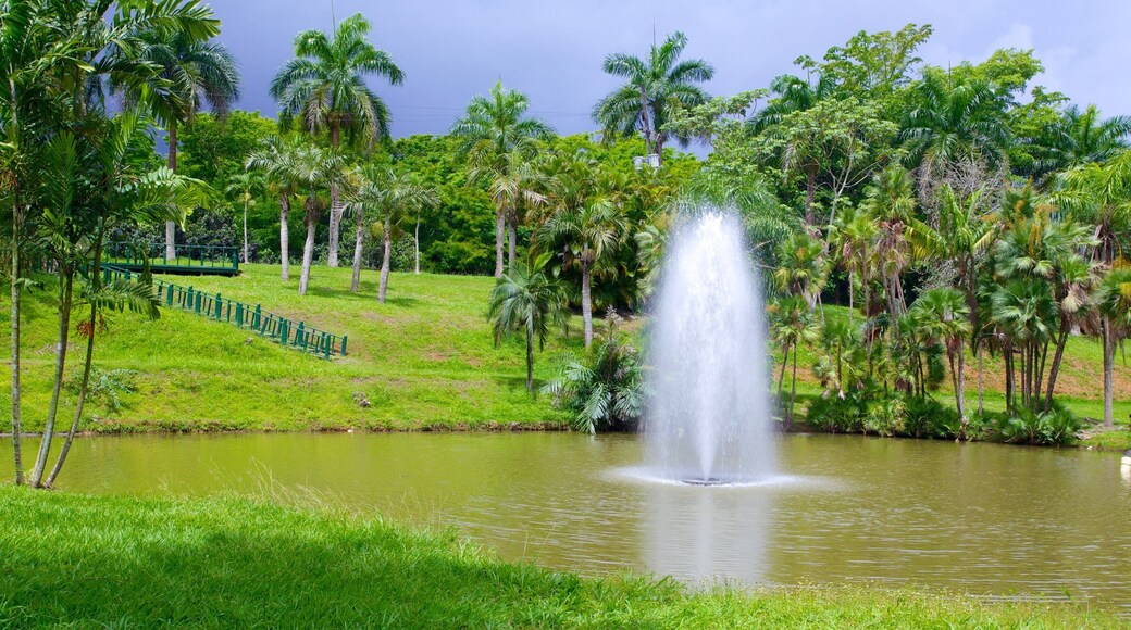 Botanischer Garten mit einem tropische Szenerien, Teich und Springbrunnen