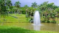 Jardín Botánico que incluye escenas tropicales, un estanque y una fuente