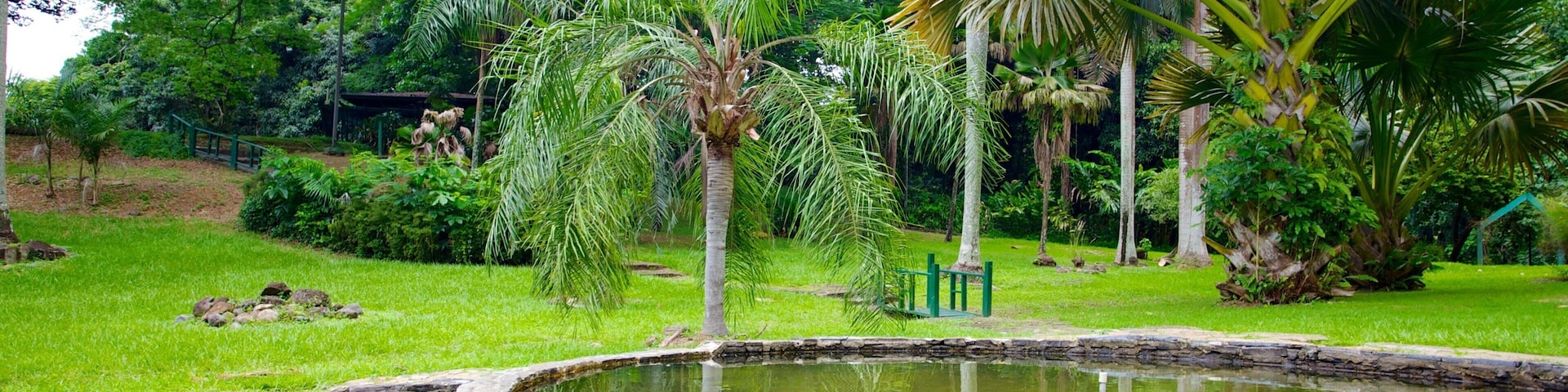 Jardin Botanico caracterizando um lago, um jardim e cenas tropicais