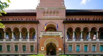 Museum of the Romanian Peasant showing heritage architecture