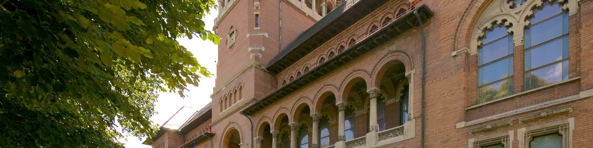 Museo del campesino rumano mostrando patrimonio de arquitectura