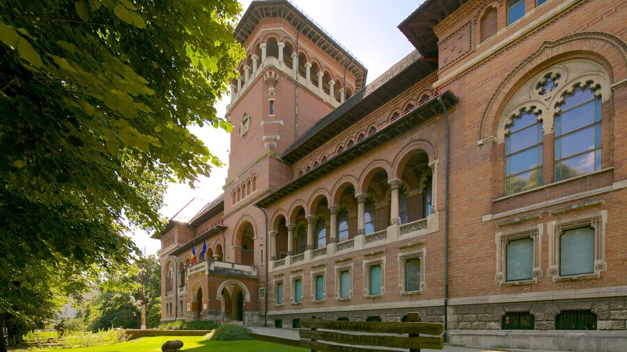 Museo dell\'agricoltore rumeno mostrando architettura d\'epoca