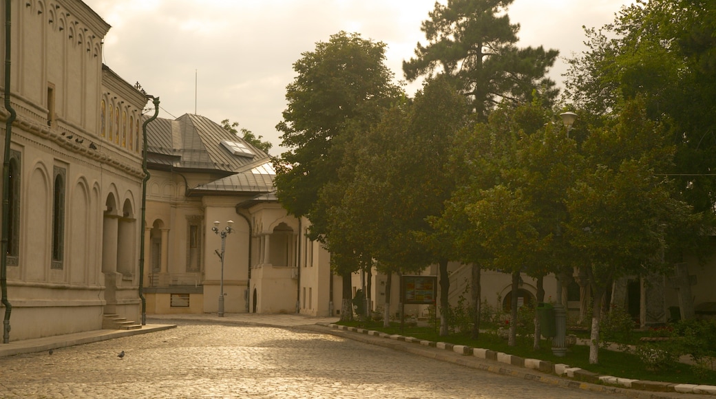 Romanian Patriarchal Cathedral which includes religious elements, a sunset and a church or cathedral