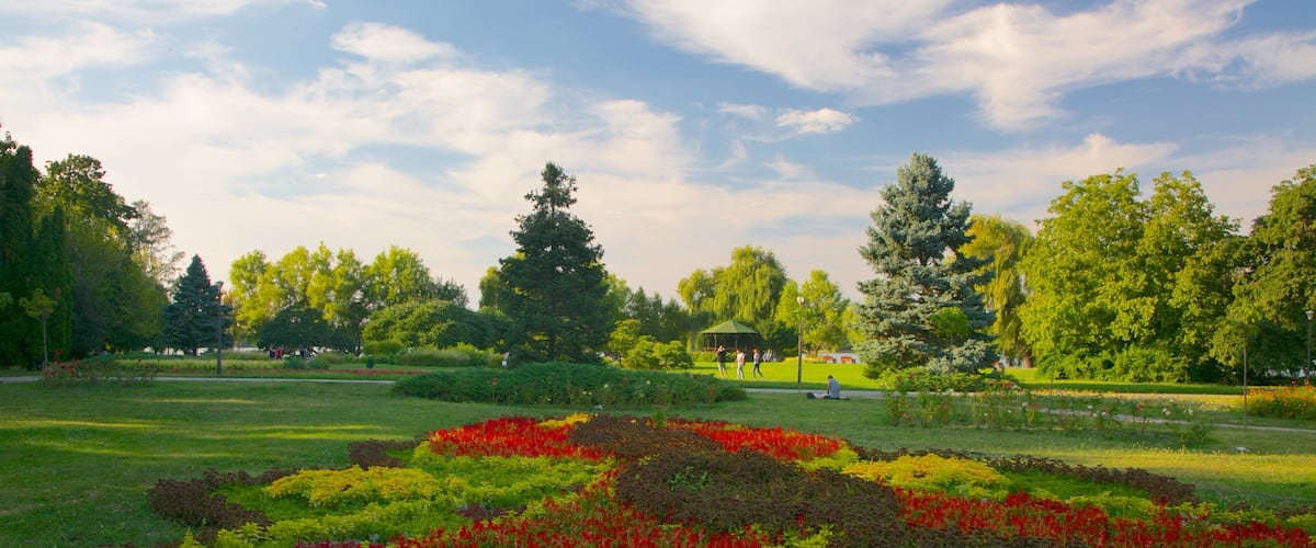 Herastrau Park showing flowers and a garden