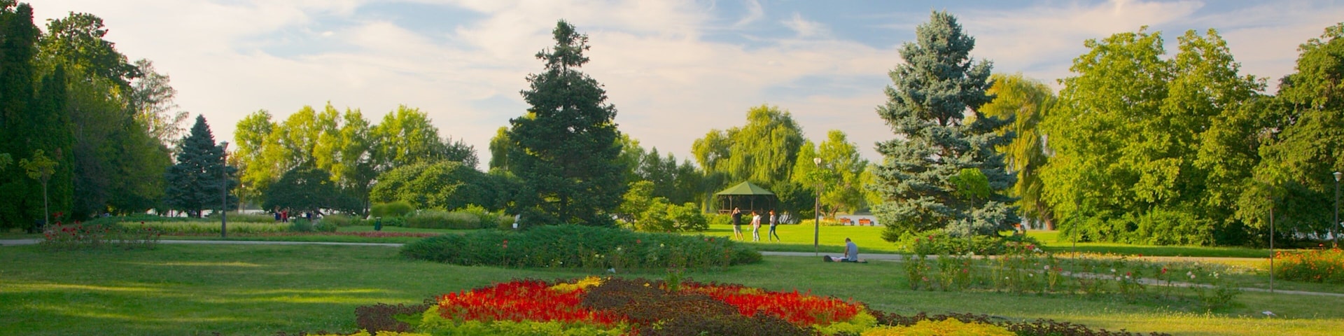 Herastrau Park showing flowers and a garden