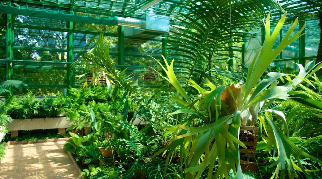 Vườn Bách thảo Bucharest trong đó bao gồm công viên