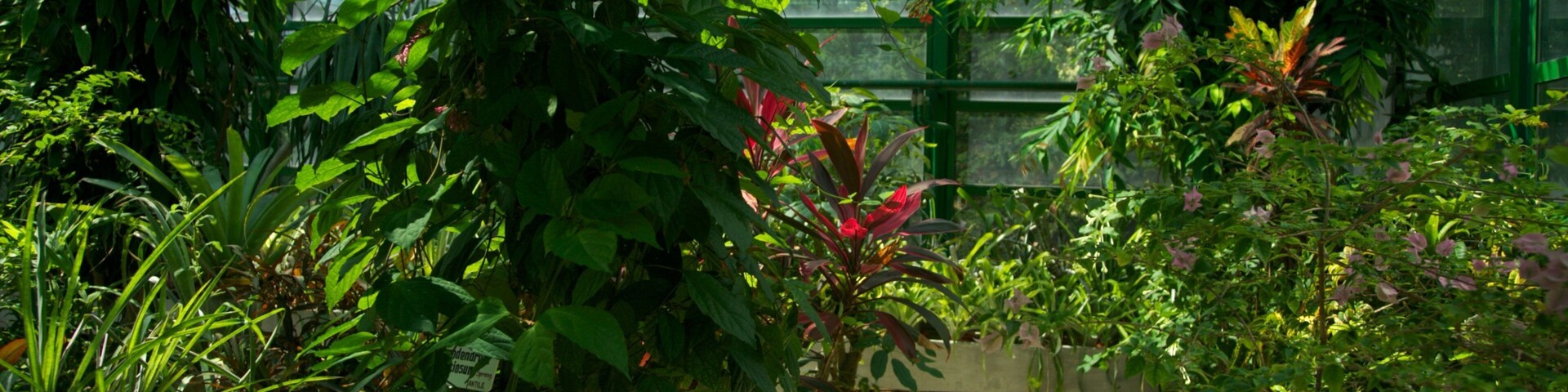 Jardín botánico de Bucarest que incluye un parque