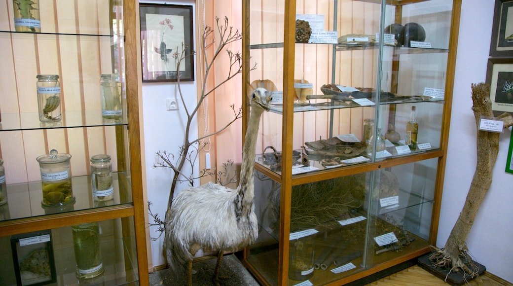 Vườn Bách thảo Bucharest trong đó bao gồm cảnh nội thất