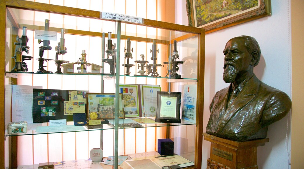 Botanischer Garten Bukarest welches beinhaltet Innenansichten und Statue oder Skulptur