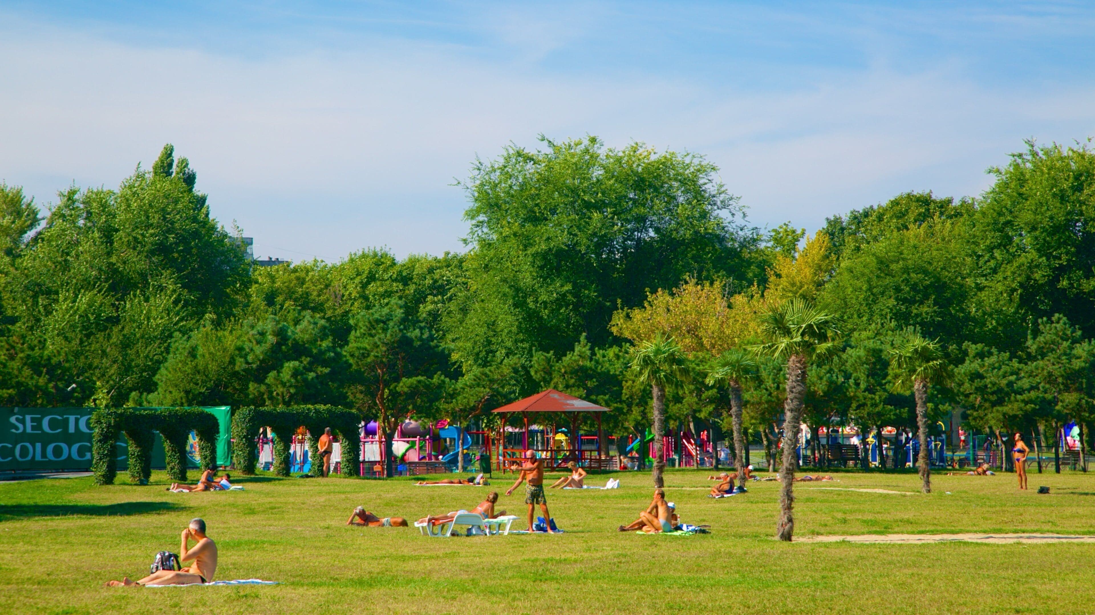 Parque Tineretului que incluye un parque, ir de pícnic y un parque infantil