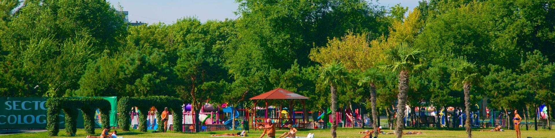 Tineretului Park featuring a playground, picnicing and a park