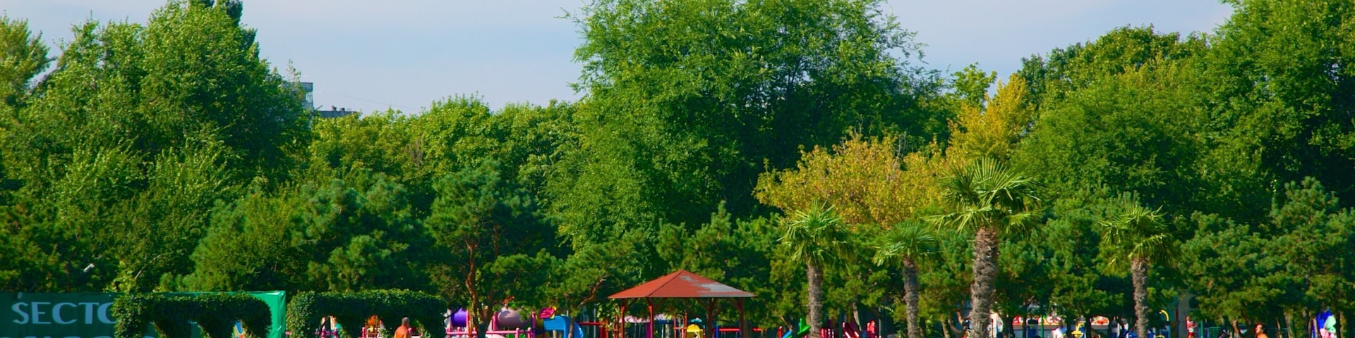 Parque Tineretului mostrando um parque, piquenique e um parquinho