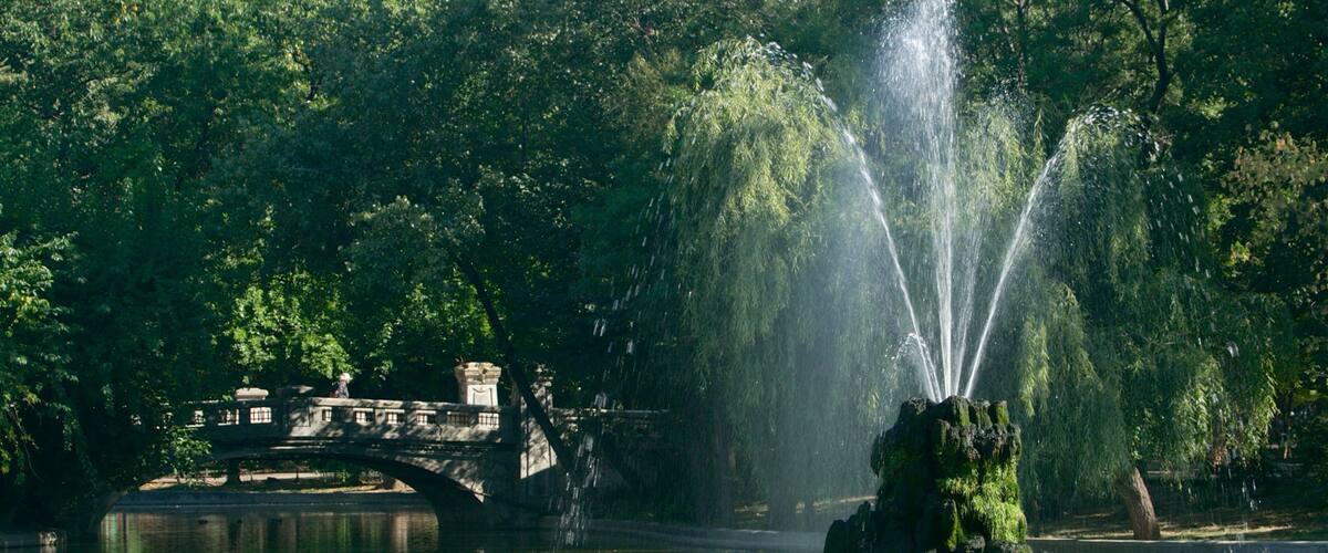 Cismigiu Garden showing a river or creek, a park and a fountain