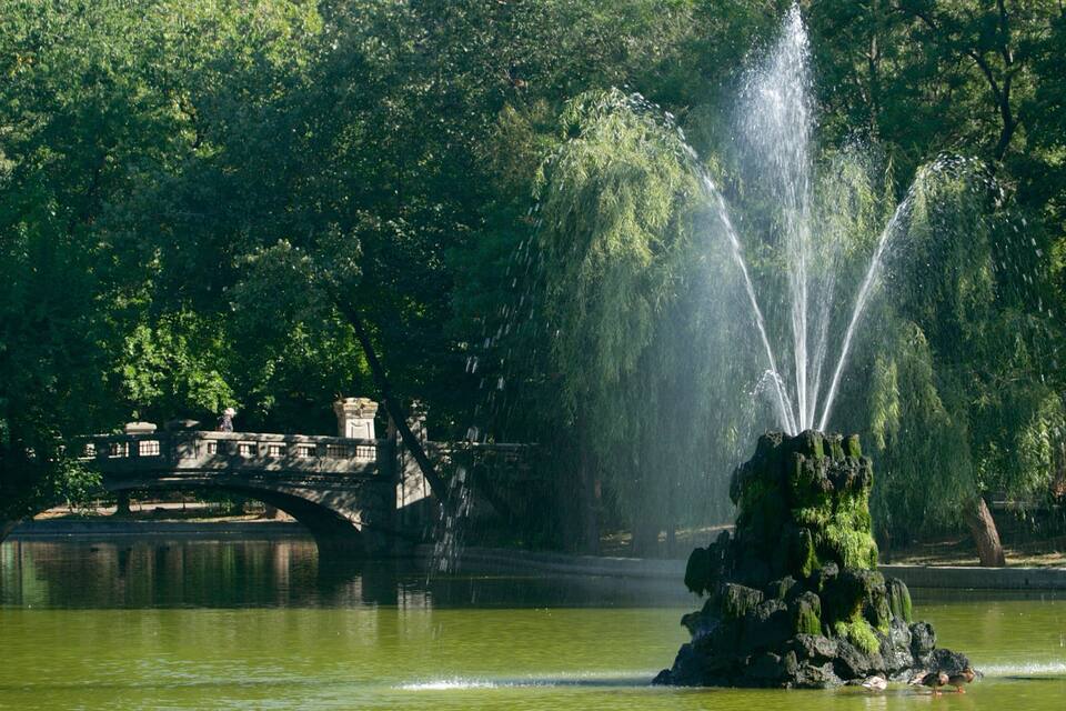 A fountain with water jets in a park with a bridge and trees.