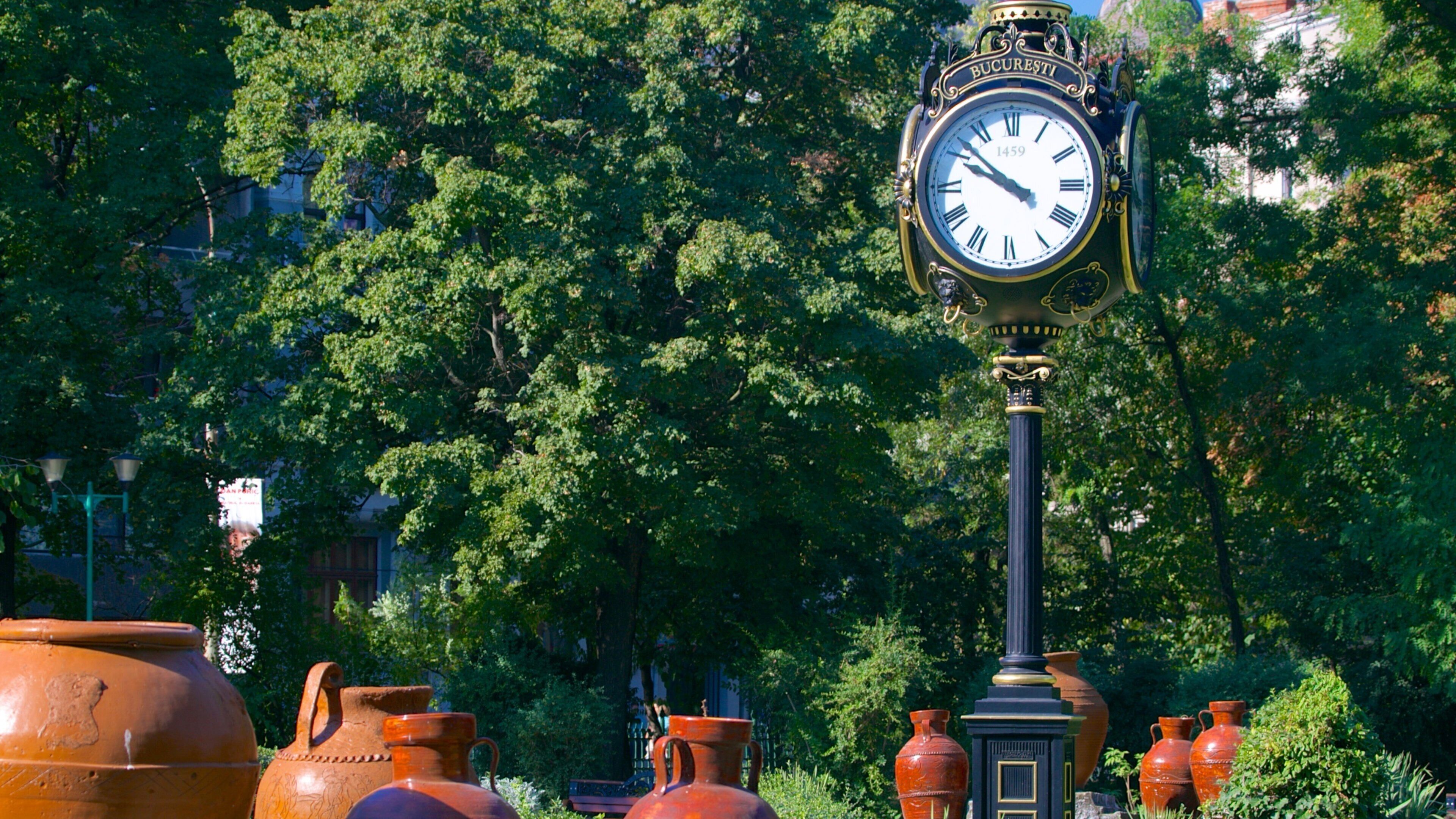 Cismigiu Garden which includes a park
