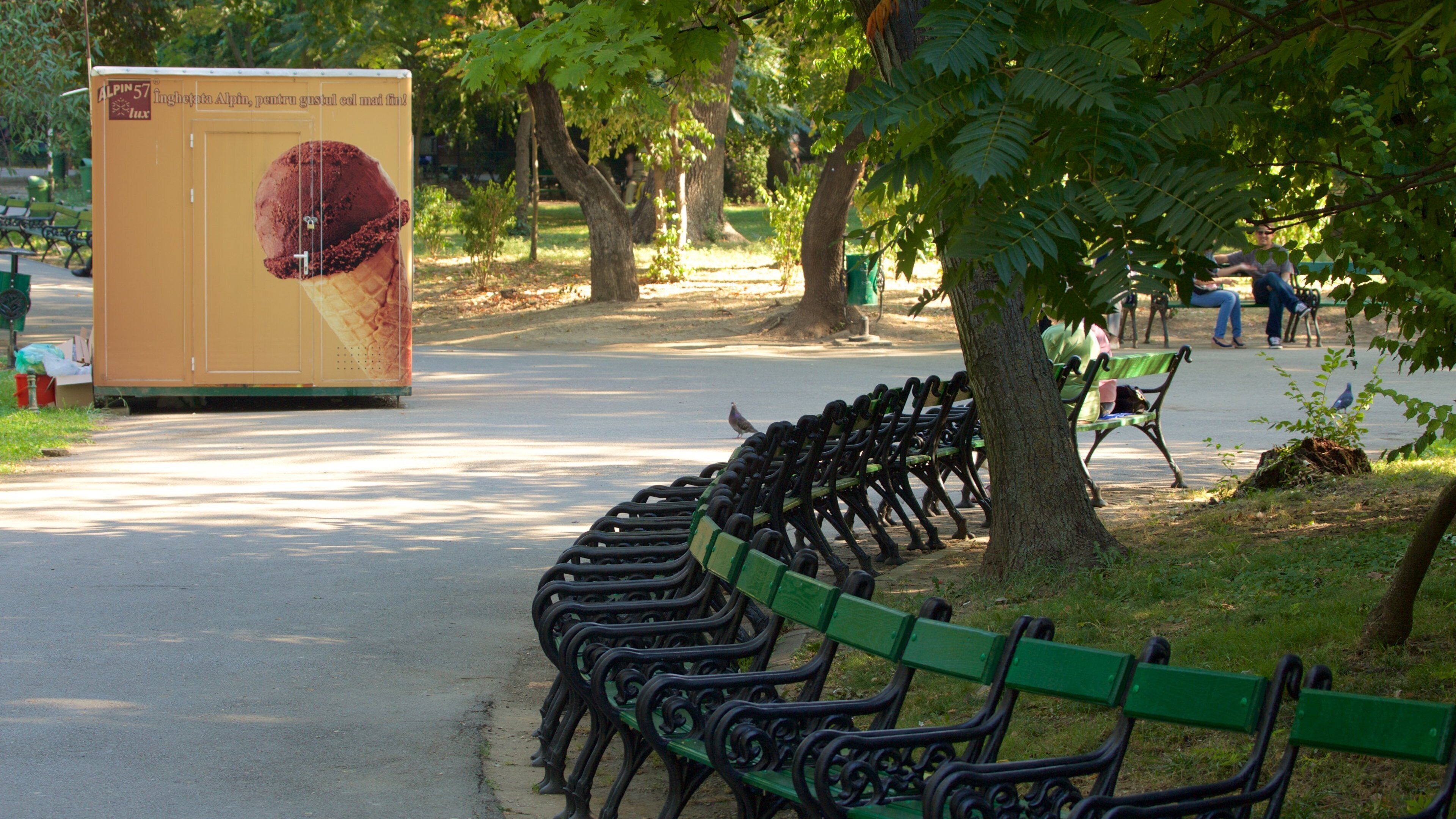 Cismigiu Garden which includes a garden