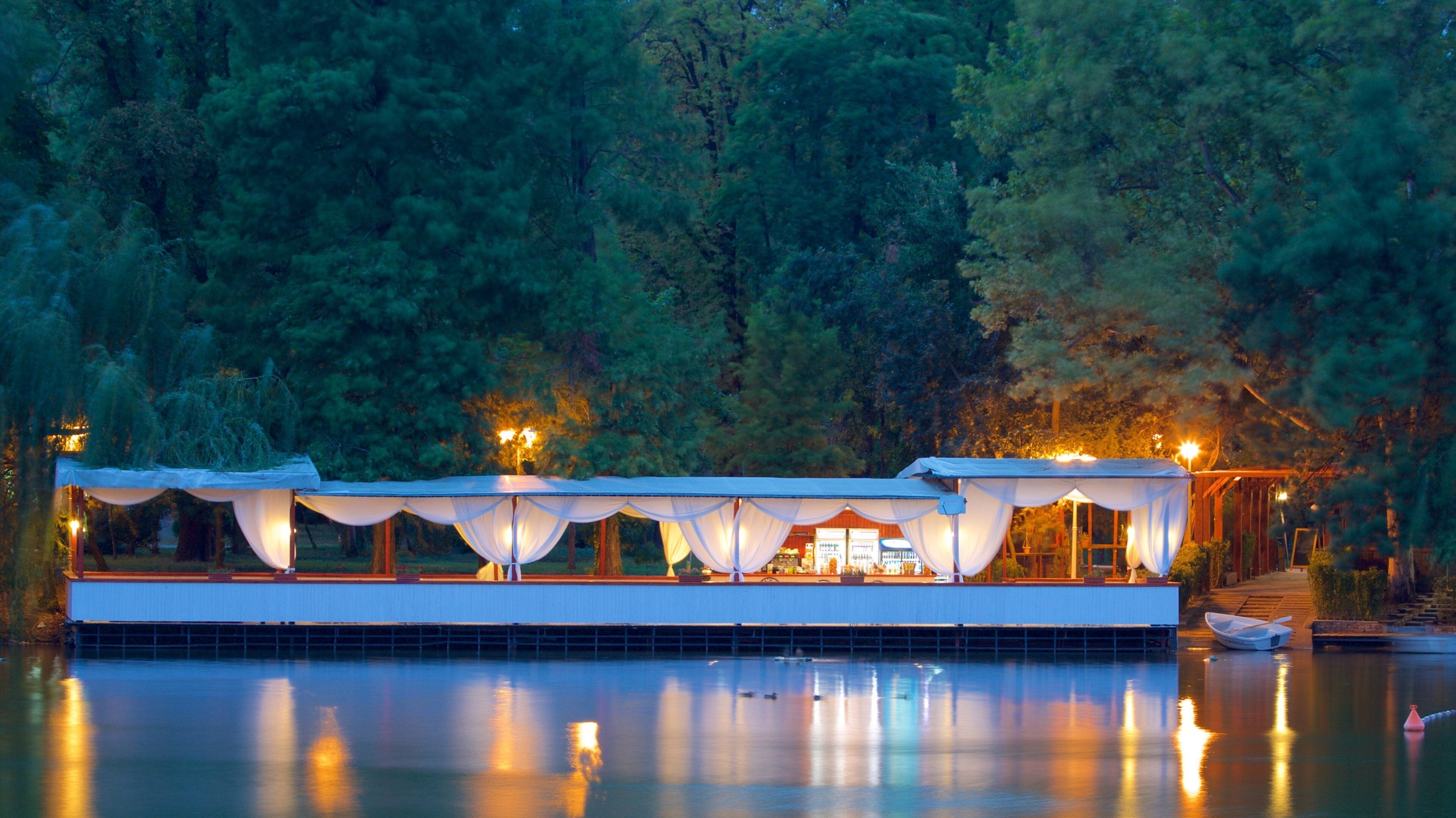 Parque Carol que inclui um rio ou córrego e cenas noturnas