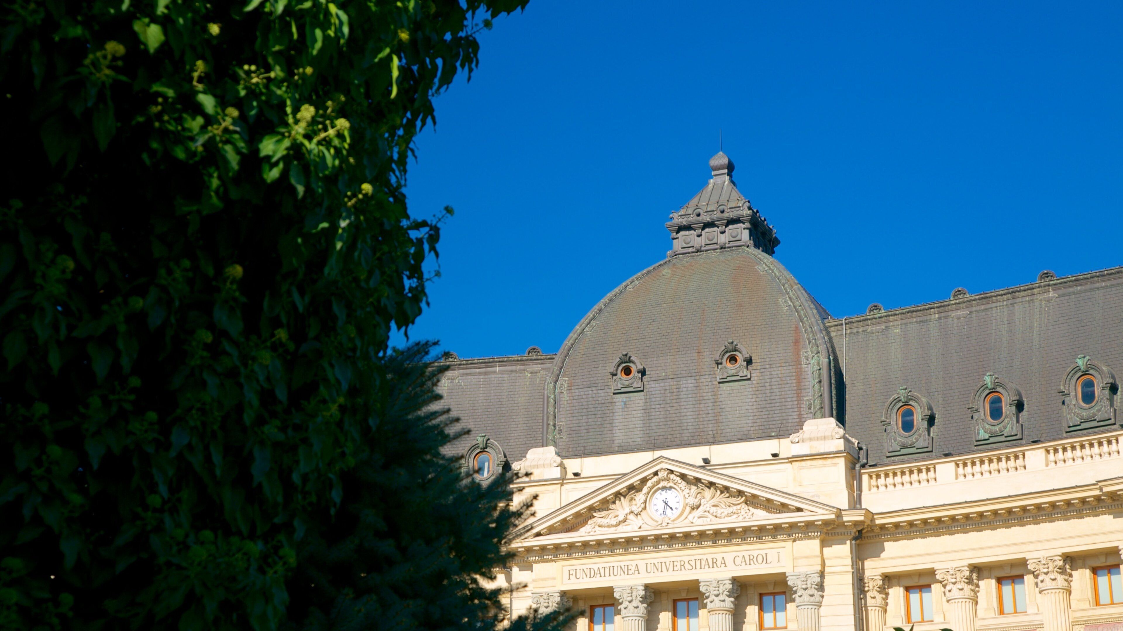 Bucharest showing heritage architecture
