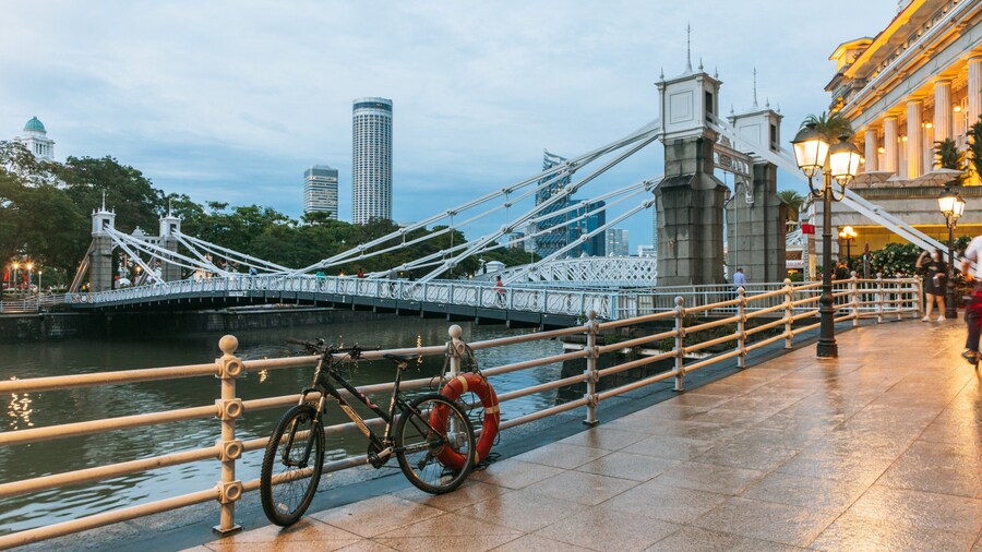 Cavenagh Bridge showing a river or creek and a bridge