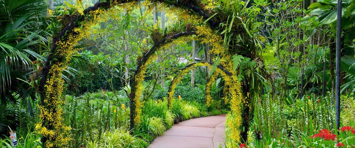 National Orchid Garden welches beinhaltet Park