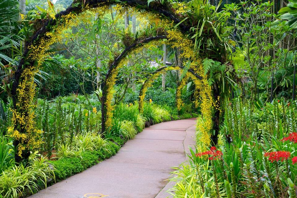 Un sendero de jardín con enredaderas amarillas y flores rojas.