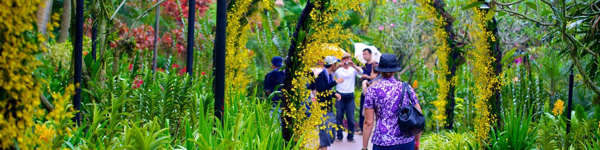 Jardim Nacional das Orquídeas que inclui um parque assim como uma mulher sozinha