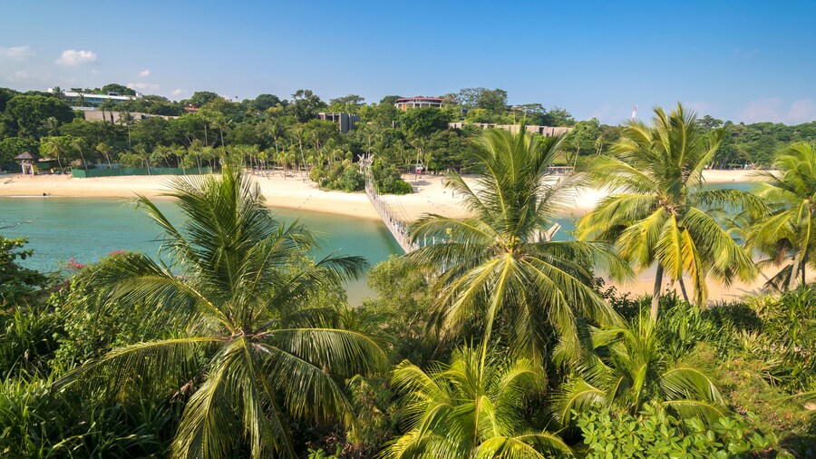 Playa de Palawan