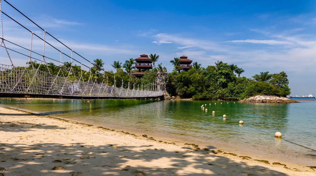 Rope suspension bridge and lush vegetation at Palawan Beach, Singapore
