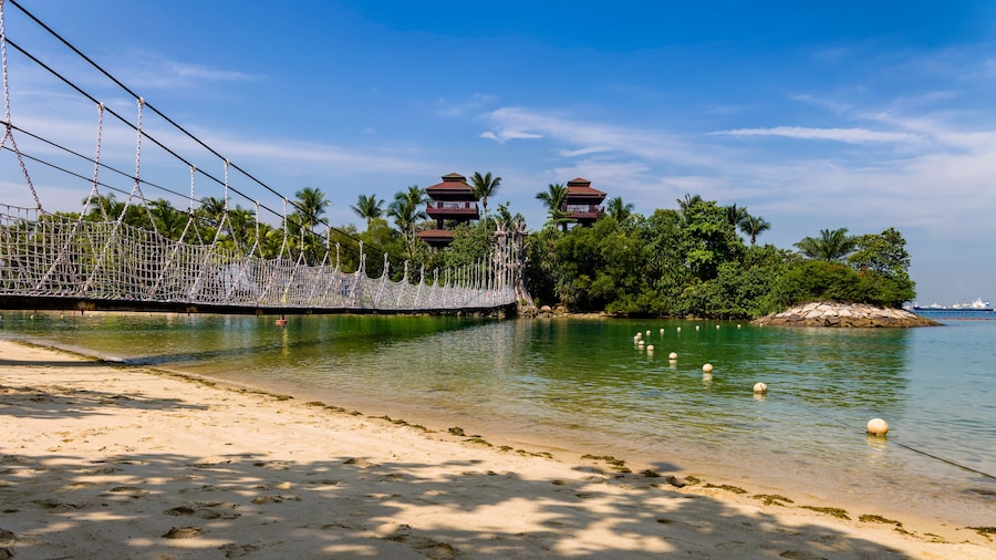 Rope suspension bridge and lush vegetation at Palawan Beach, Singapore