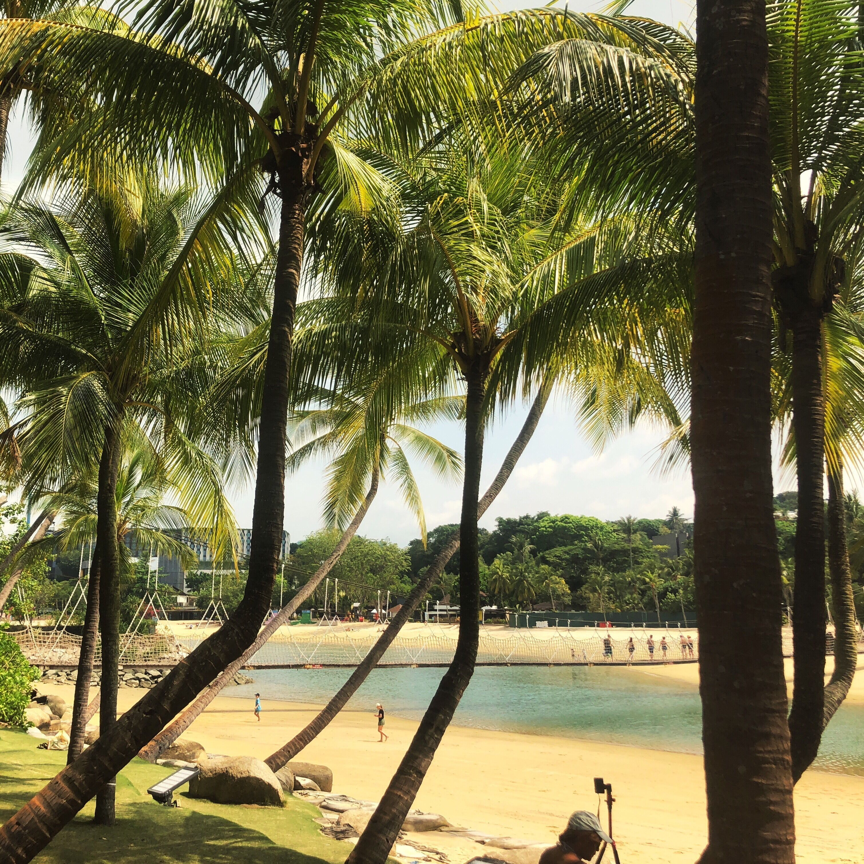 « The Southernmost Point of Continental Asia »
(Sentosa - Singapore)
#beach #Singapore #Asia
March 2019 - Iphone 8